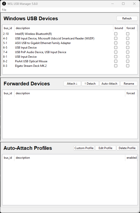 WSL USB Manager Initial