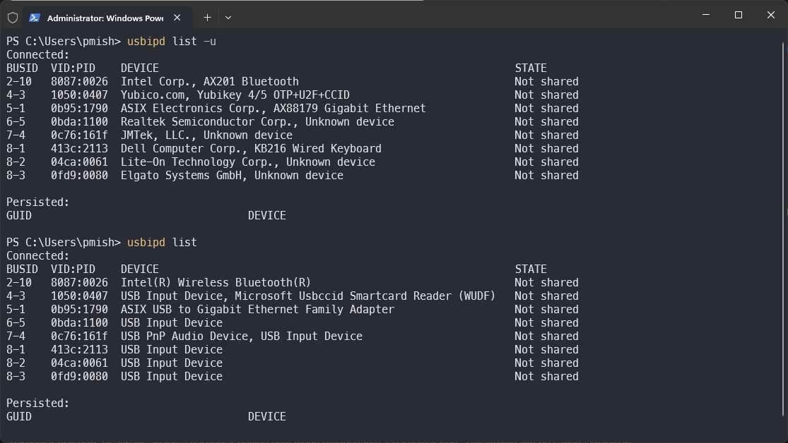 Powershell showing usbipd list