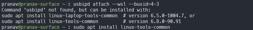 lsbipd wsl linux tools